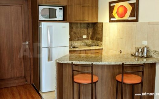 Suite Amoblada de Arriendo 40 m2 Bellavista